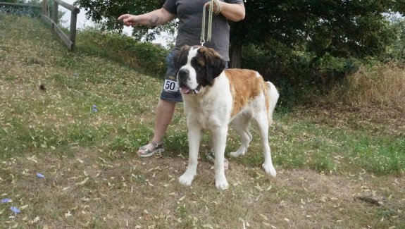 Nora von der Alten See